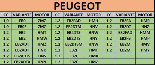 La demanda colectiva a Peugeot/Opel/Citroën supera las 2400 personas