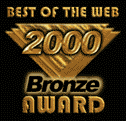 Premio Bronze del Nielsen Web Sites and Business Graphics